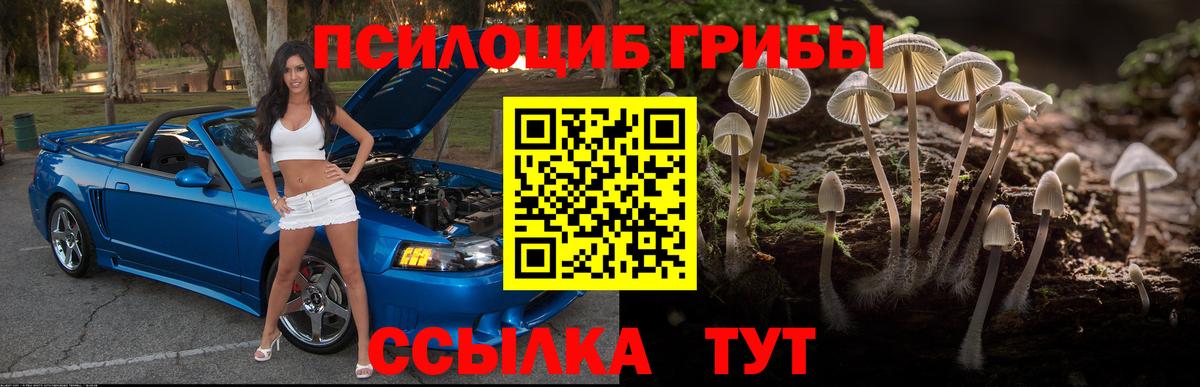 Псилоцибиновые грибы Magic Shrooms Коряжма