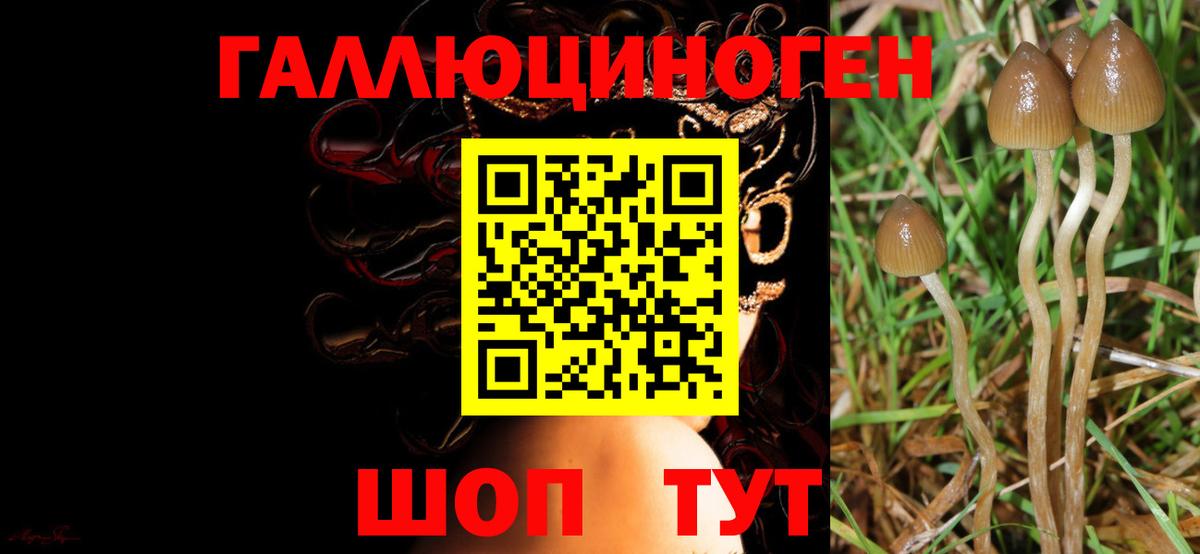 Галлюциногенные грибы ЛСД  Вход с VPN  Псилоцибиновые грибы GOLDEN TEACHER  Коряжма 